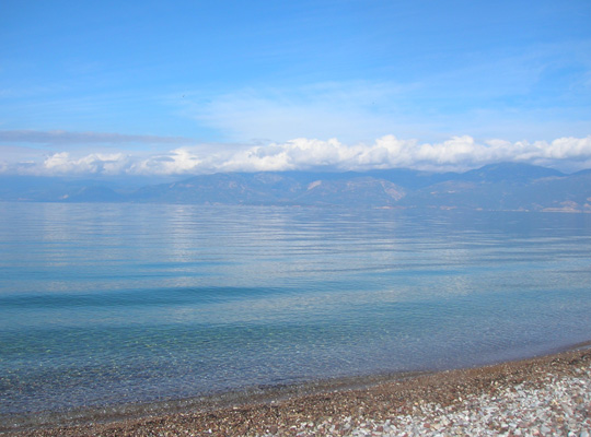 sea side close to the olive trees yards
